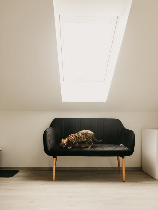 2 Seater Velvet Kitchen Sofa Black TABY